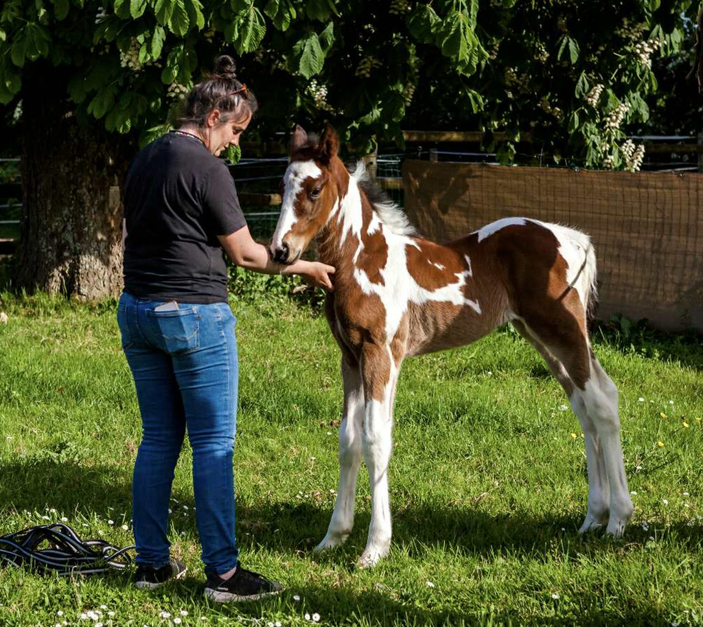 Manon_cheval_1